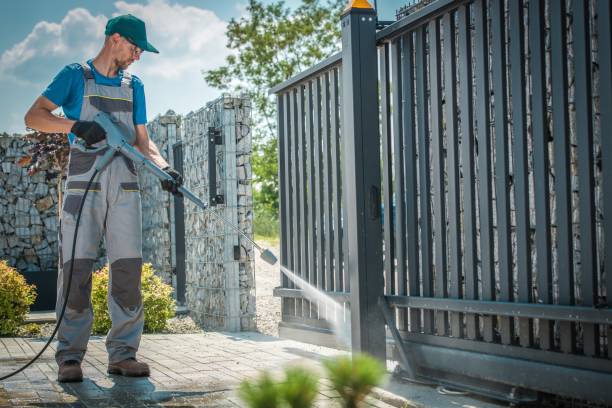 Best Dumpster Area Cleaning  in Mount Olive, NC