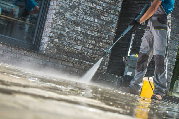 Best Building Exterior Washing  in Mount Olive, NC